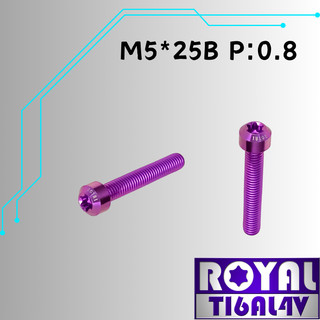【瘋螺絲】ROYAL 鈦合金螺絲★ M5*25B P:0.8 錐形螺絲★64鈦/正鈦/鈦合金螺絲★出貨附發票★皇家紫