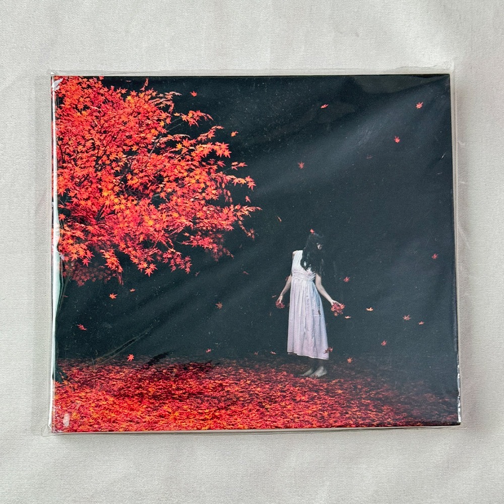 Aimer 茜さす CD+DVD 初回盤 單曲 動畫 夏目友人帳 伍 ED 台版 茜光