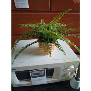 【銓芳傢俱】人造盆栽 蕨類盆 高約28cm 仿真植物 居家裝飾造景 北歐模擬蕨類 綠草植物盆栽 自然景觀裝飾 拍攝道具