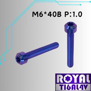 【瘋螺絲】ROYAL 鈦合金螺絲★ M6*40B P:1.0 錐形螺絲★ 64鈦/正鈦/鈦合金螺絲★出貨附發票★幻彩藍