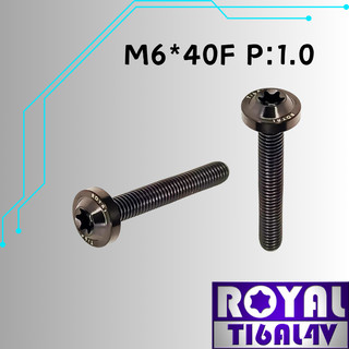 【瘋螺絲】ROYAL 鈦合金螺絲★ M6*40F P:1.0 飛碟頭螺絲★ 64鈦/正鈦/鈦合金螺絲★出貨附發票★帝王黑