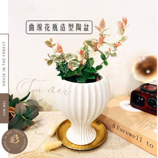 森美植所/陶瓷花盆盆/花盆/曲線花瓶造型陶盆/花器/盆器/花瓶/陶藝品/觀葉植物/居家佈置/植物/植栽