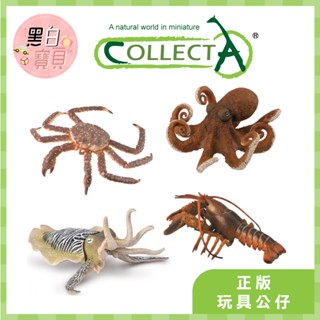 【臺灣現貨】collectA動物模型 八爪魚 龍蝦 帝王蟹