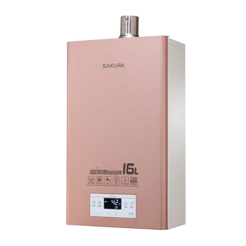 【SAKURA 櫻花 DH-1683】16L四季溫美膚沐浴強制排氣熱水器