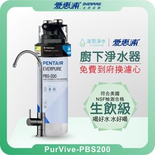 EVERPURE 愛惠浦 PBS200 廚下淨水器 淨水器 濾水器 飲水機 濾芯 濾心 過濾器 愛惠普 愛惠浦淨水器