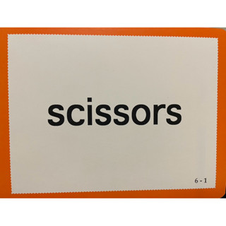 魏蘇珊文教 字母閃示卡(Flash Cards) 教具 輔助教材 語文 英文 拼音卡 學習字卡 美語教材 遊戲學習 兒童英語 兒童美語