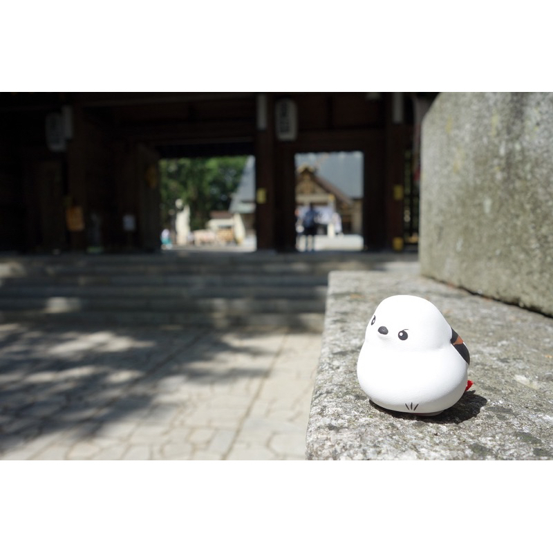 ⛩️帶廣神社⛩️銀喉長尾山雀 雪之妖精 御神籤 御朱印帳 御守 京都 大鳥大社 下鴨神社 櫻花 楓葉