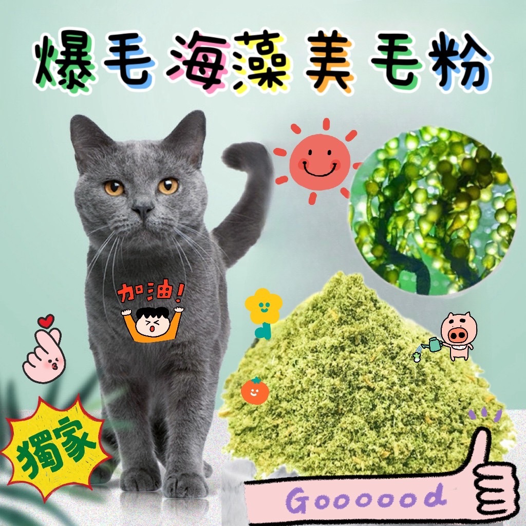 爆毛海藻美毛粉 寵物卵磷脂 螺旋藻 犬貓皆可 鼻頭退色 毛色光澤 毛髮亮澤 寵物美毛護毛 食慾 爆毛粉 海藻粉 小麥草