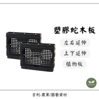 /吉利/ 蛇木板 塑膠蛇木板 上版 塑膠蛇木板 三孔型 蘭花板 植生板