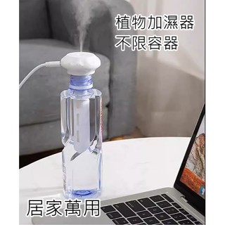 植物加濕器 大容量 龜背芋 蔓綠絨 鹿角蕨 爬蟲動物 觀葉植物 蘭花 空氣加濕器 加濕器 香氛機 噴霧機