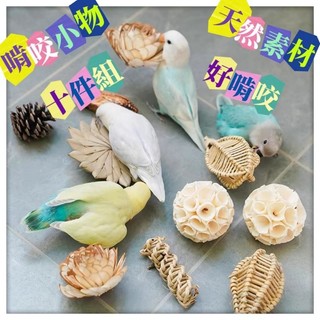 ☆小寵當家☆ 寵物啃咬玩具組合包 通草球 棕櫚葉藤編玩具 適合各式小寵啃咬 鸚鵡啃咬