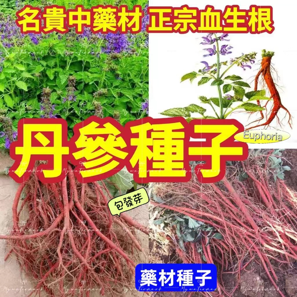 丹參的價格推薦 - 2024年9月| 比價比個夠BigGo