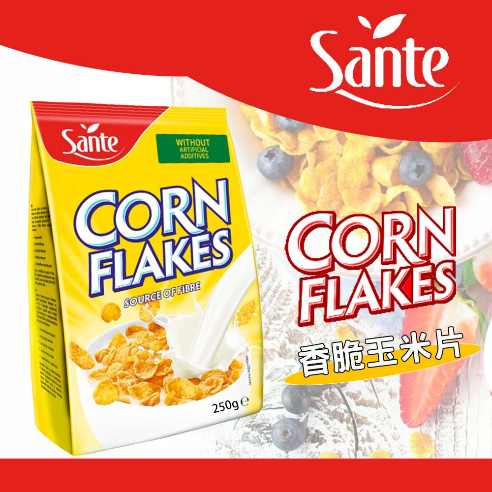 【信德SHINTOKU】現貨 Sante 珊德  原味玉米片 250g