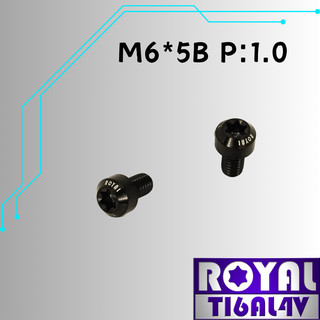 【瘋螺絲】ROYAL 鈦合金螺絲★ M6*5B P:1.0 錐形螺絲★64鈦/正鈦/鈦合金螺絲★出貨附發票 ★帝王黑