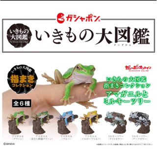全新現貨Bandai 生物大圖鑑指尖雨娃&牛奶蛙 扭蛋