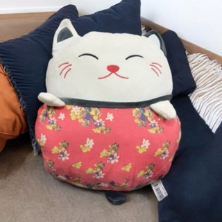 𐂂哩哩扣扣𐂂招財貓抱枕 午安枕 暖手枕