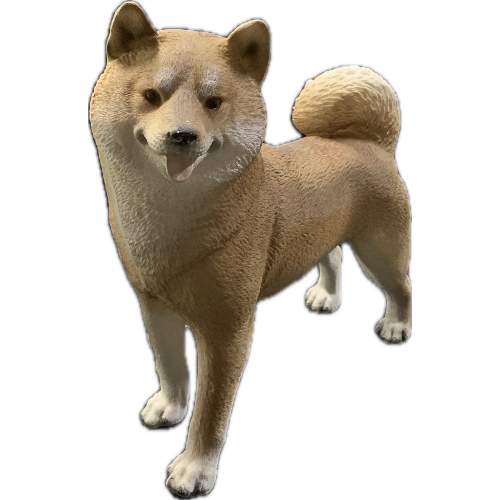 胡麻柴的價格推薦- 2026年1月| 比價比個夠BigGo