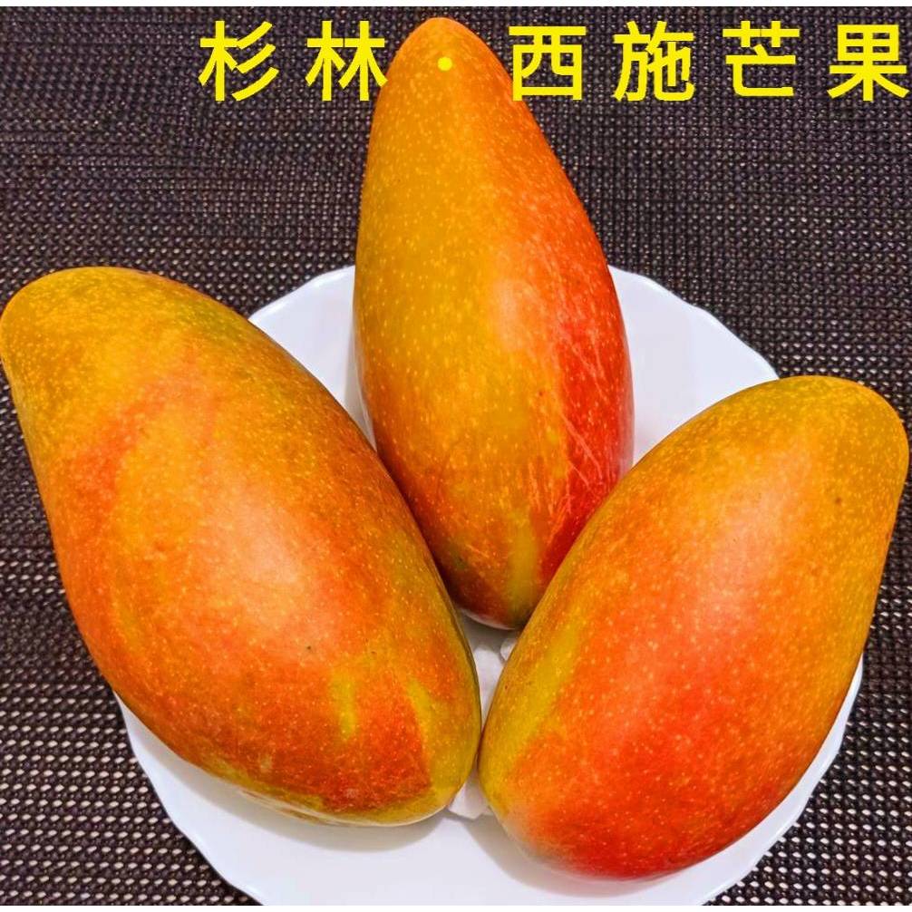 杉林 西施芒果㊣ 自產自銷，無農藥㊣ 新興品種，一斤70