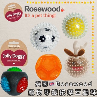 "ONE PET" 臺灣快速出貨 戶外足球寵物玩具球狗狗磨牙耐咬磨牙潔齒益智解悶陪伴訓練護齒寵物互動