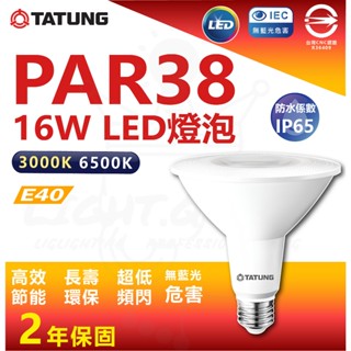 大同 PAR38 16W LED燈泡 E27 防水燈泡 戶外燈泡 IP65 PAR燈泡 鑽石燈泡 防水投射燈泡 全電壓