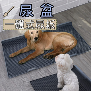 狗尿盆 寵物尿盆 寵物廁所 一體式尿便板 不濕腳尿液無殘留 寵物狗狗尿盆 便盆 狗尿盆 大中小型狗廁所 寵物尿盆 尿盆