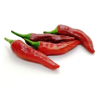 桑塔卡辣椒種子10顆~Santaka Pepper