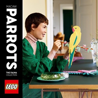 玩具研究中心 現貨 樂高 LEGO 積木 Art 動物群系列-金剛鸚鵡 31211