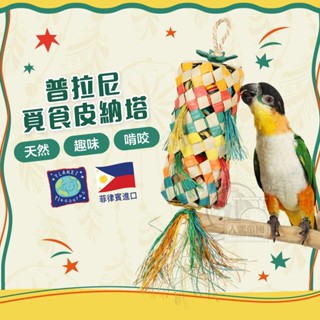 《嘟嘟鳥寵物》美國普拉尼Planet Pleasures 覓食皮納塔 鸚鵡玩具 啃咬 棕櫚葉