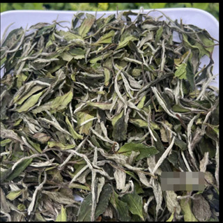 福建白茶 2024年花香白牡丹 明前散茶白牡丹 茶葉500g