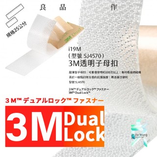 3M 子母扣 台南現貨 25公分長透明款 SJ4570 超薄款蘑菇頭強力背膠 不分公母固定搭扣 i1925 支架王