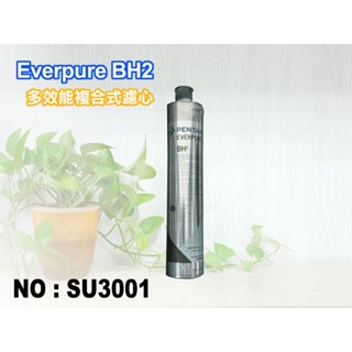 【新裕淨水】Everpure/BH2濾心.淨水器(貨號SU3001)