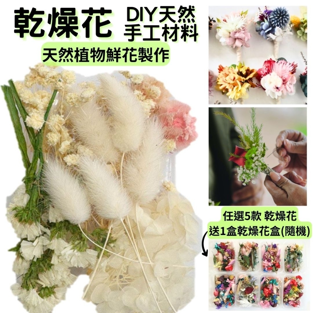【A-ONE】永生花素材永生滿天星 大滿天星 婚禮佈置 手作素材 攝影道具 新娘捧花 乾燥花束 手作乾燥花