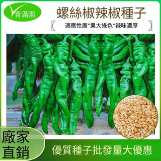 （買五送一）四季種植 四季種子 易種植 高發芽率96% 香辣螺絲辣椒種子蔬菜種子薄皮青椒四季庭院盆栽青螺絲椒辣椒種子