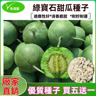 ✨原廠直銷【包裝種子】甜脆綠寶石甜瓜種子超甜酥脆香瓜種籽庭院農家綠寶石籽 蔬菜瓜果種子大全