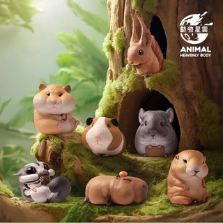 動物星球 動物星雲 台灣代理 正版公司貨 盲盒 蜜袋鼯 掌上萌zoo 水豚 卡皮巴拉 🐭🐁土撥鼠 龍貓