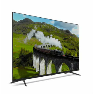 【PHILIPS 飛利浦 】65型4K Google TV 智慧顯示器(65PUH7159)
