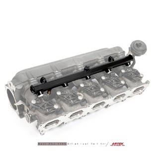 ARTEK AUDI RS3 / TTRS DAZA 鍛造燃油軌 Billet fuel Rail Kit 【YG】