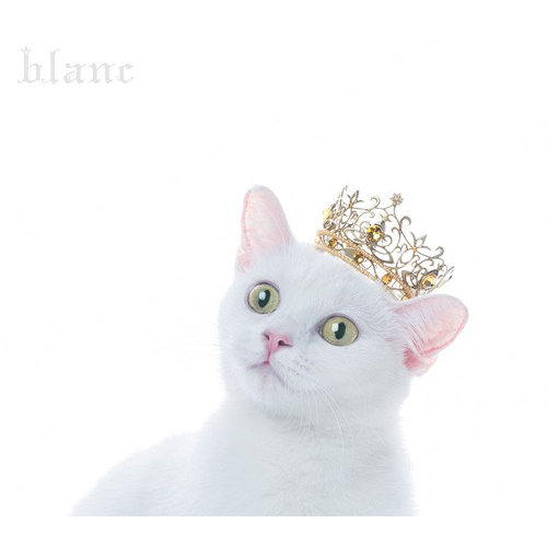 (代購) 全新日本進口《BEST SELECTION "blanc"》CD 日版 (初回限定盤) Aimer 專輯