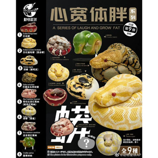 【MOVE】 (現貨) 動物星球 心寬體胖系列 第九彈 蛇 vol.2 紅尾 緬甸 爬蟲 模型 公仔 盒玩 盲盒 隱藏