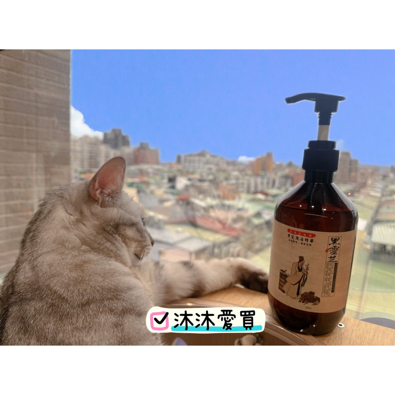 🅥沐沐愛買🅥全賣場999免運🅥最新效期🅥現貨🅥髮根蓬鬆🅥李時珍故鄉 黑之秘養髮傳說洗髮精露 500ML 草本植萃 ㊣