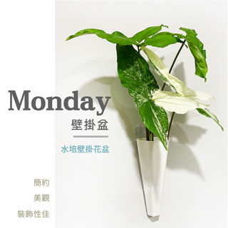 【全館590免運】Monday壁掛盆 黃金葛水培壁掛花盆 贈免釘掛鉤 墻壁懸掛式插花瓶 北歐設計 園藝裝飾 觀葉植物