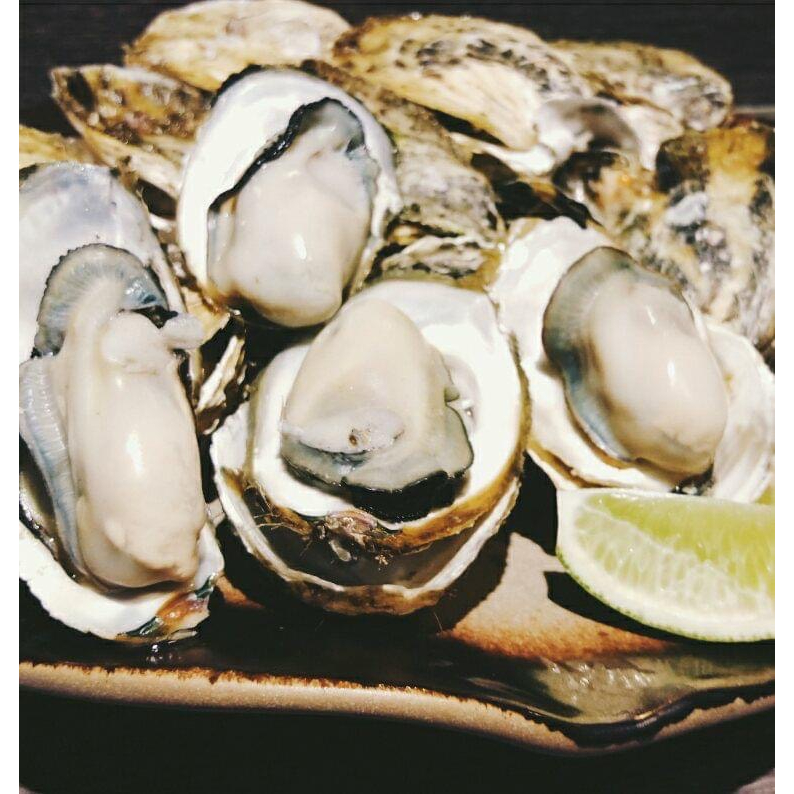 【🐈‍⬛黑貓媽媽】澎湖當季極品帶殼活牡蠣🦪 Oyster⚠️5-9月最肥⚠️澎湖牡蠣 產地直送 活體