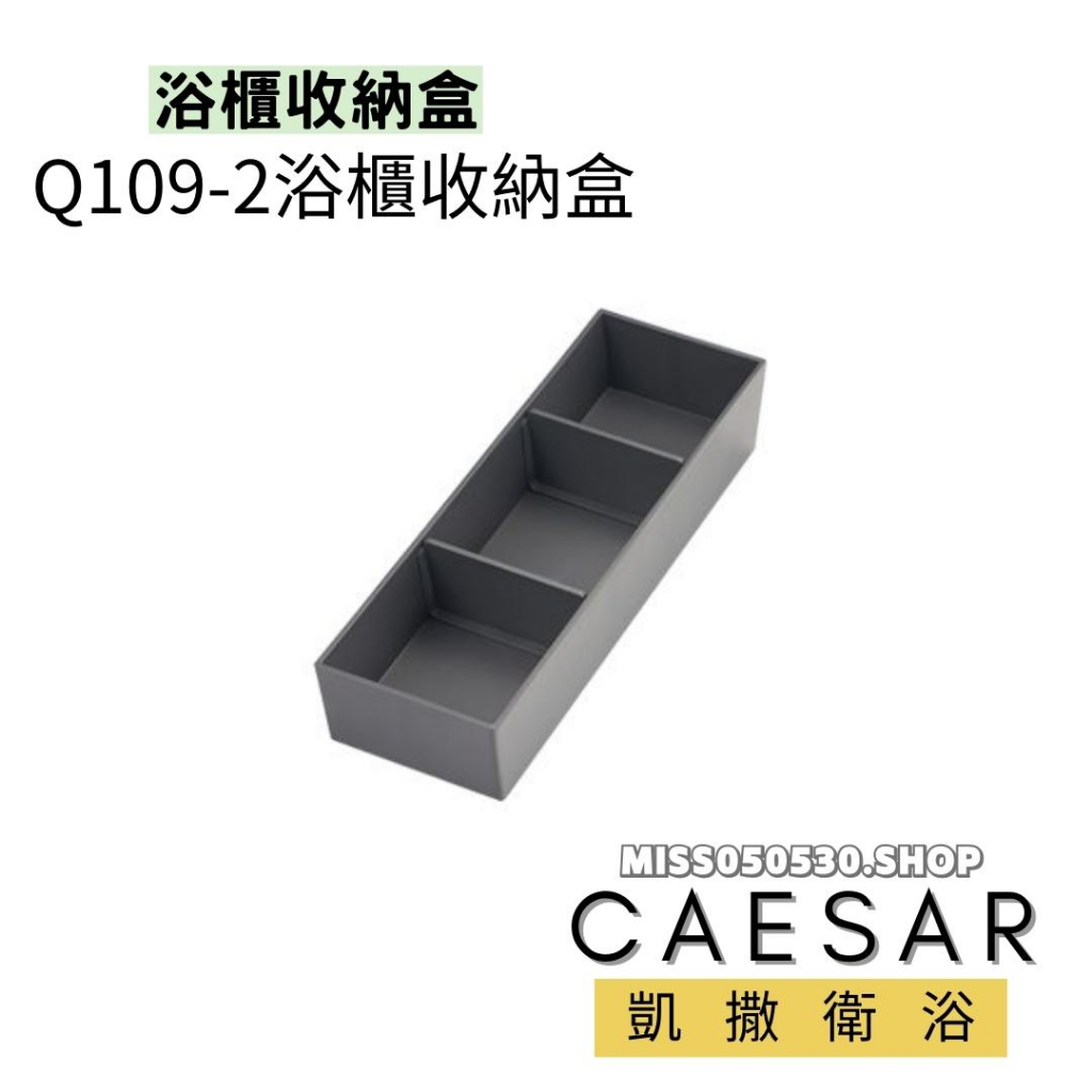Caesar 凱撒衛浴 浴櫃收納盒 抽屜收納盒 收納盒 Q109-2 櫃子收納盒
