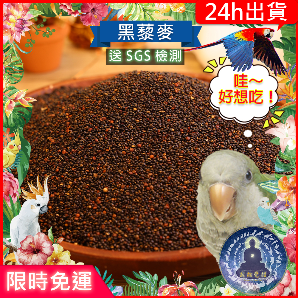 【寵物覺醒24h出貨】【SGS檢測】黑藜麥飼料小寵鸚鵡飼料點心獎勵零食穀物兔子蜜袋鼯松鼠小鳥練倉鼠倉鼠黃金鼠三線鼠老公公