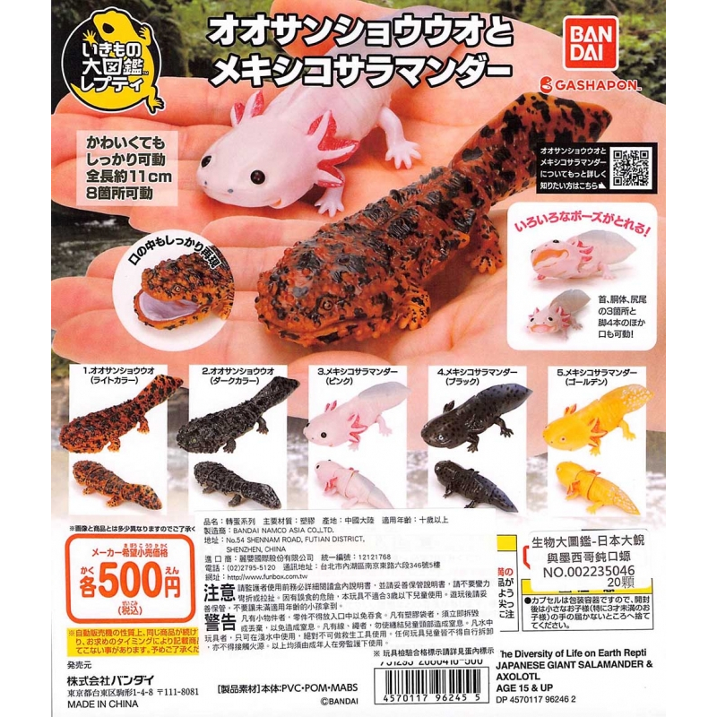 【Pugkun】日本萬代 BANDAI 生物大圖鑑 日本大鯢與墨西哥鈍口螈 六角恐龍 大山椒魚 蠑螈 娃娃魚 模型 扭蛋