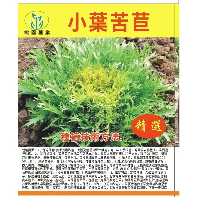 【原廠包裝】【細葉苦苣種子】黃心細葉苦苣苦菊種子農家春秋四季播陽台種菜盆栽蔬菜種子包郵