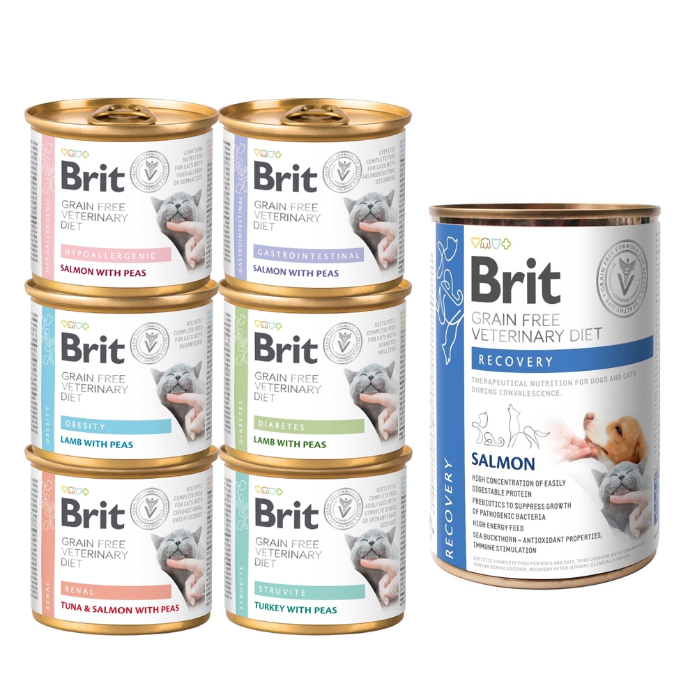 ✨貴貴嚴選✨【10罐組】Brit 咘莉 處方系列貓罐頭200g 犬貓處方罐400g 處方罐 貓罐頭