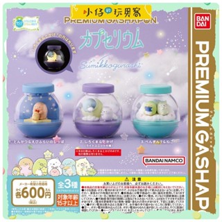 小仔的玩具窩★扭蛋「現貨」日版 PREMIUM GASHAPON 角落生物 景觀生態球 BANDAI 恐龍 瓶中生活場景