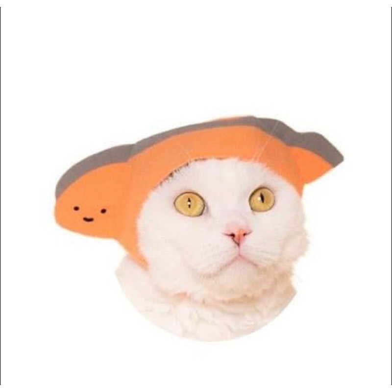 三麗鷗 貓咪 頭套 鮭魚kirimi 生魚片君 鵝子 醜娃 可用