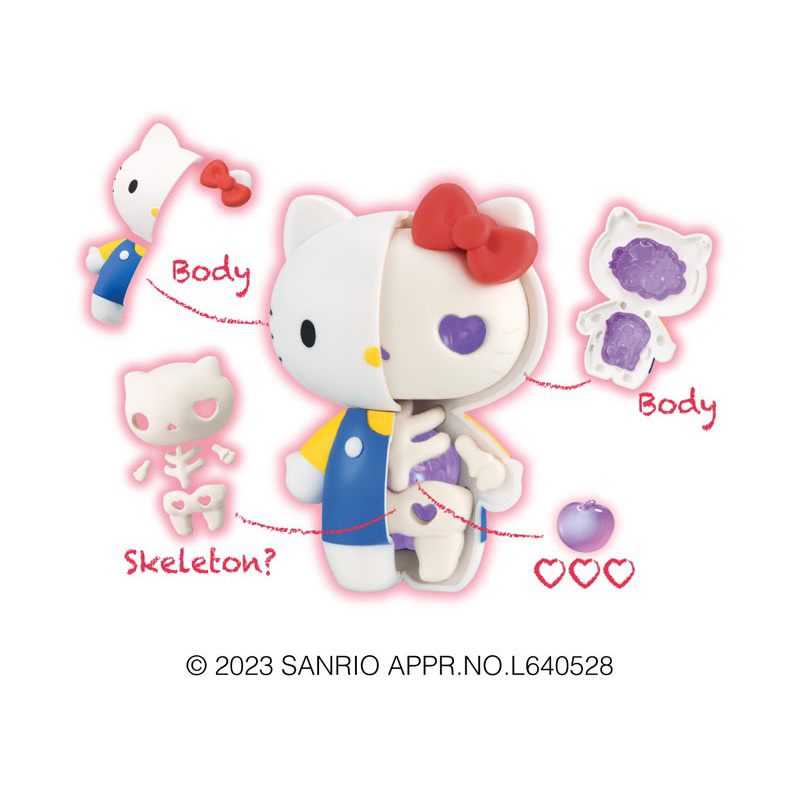 日本 KAITAI FANTASY 三麗鷗明星幻想MIX 半剖 半解剖 半骨骼 模型公仔 hello kitty 凱蒂貓